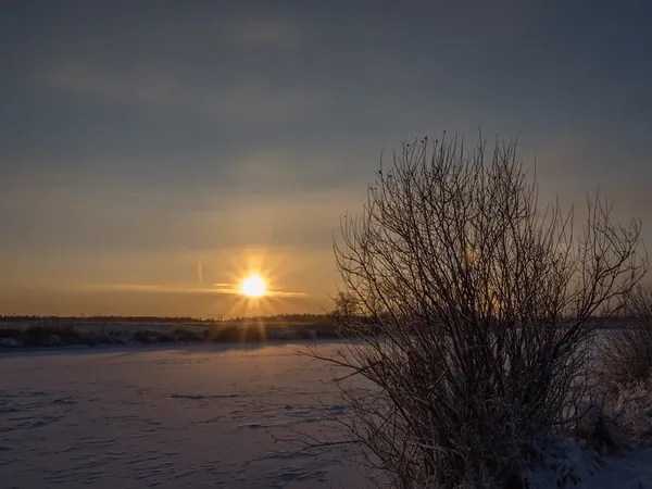 img of Warm Winter