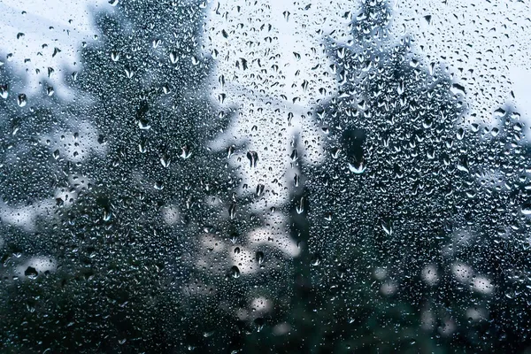 img of Rain, Regardless